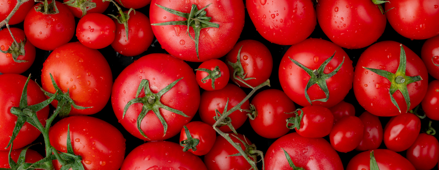 Exploring New Ways to Package Tomatoes